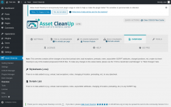 Page screenshot: Asset CleanUp &rarr; Overview