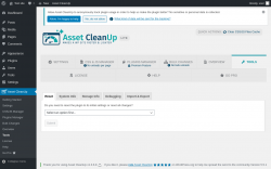 Page screenshot: Asset CleanUp &rarr; Tools