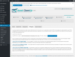 Page screenshot: Asset CleanUp &rarr; Tools &rarr; Debugging