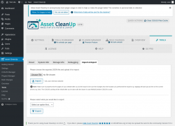 Page screenshot: Asset CleanUp &rarr; Tools &rarr; Import & Export