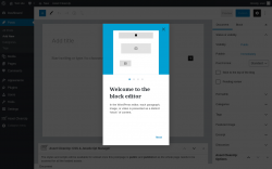Page screenshot: Add New Post &lsaquo; Test site &mdash; WordPress