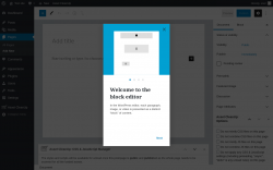 Page screenshot: Add New Page &lsaquo; Test site &mdash; WordPress