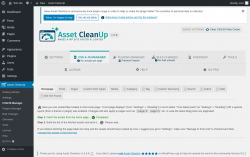 Page screenshot: Asset CleanUp &rarr; CSS/JS Manager