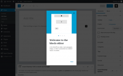 Page screenshot: Add New Post &lsaquo; Test site &mdash; WordPress