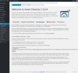 Page screenshot: Asset CleanUp &rarr; Start Optimization