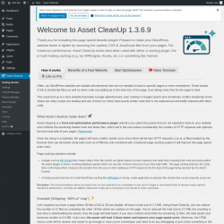 Page screenshot: Asset CleanUp &lsaquo; Test site &mdash; WordPress