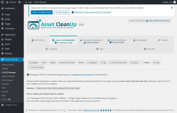Page screenshot: Asset CleanUp &rarr; CSS/JS Manager &rarr;  Author