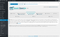 Page screenshot: Asset CleanUp &rarr; Plugins Manager