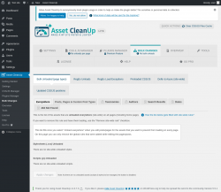 Page screenshot: Asset CleanUp &rarr; Bulk Changes
