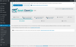 Page screenshot: Asset CleanUp &rarr; License
