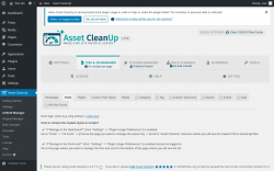 Page screenshot: Asset CleanUp &rarr; CSS/JS Manager &rarr; Posts