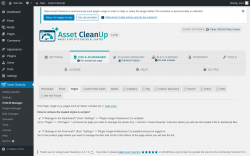 Page screenshot: Asset CleanUp &rarr; CSS/JS Manager &rarr; Pages