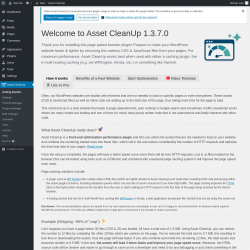 Page screenshot: Asset CleanUp &lsaquo; Test site &mdash; WordPress