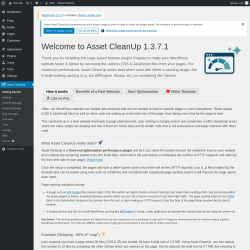 Page screenshot: Asset CleanUp &lsaquo; Test site &mdash; WordPress