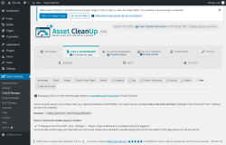 Page screenshot: Asset CleanUp &rarr; CSS/JS Manager &rarr;  Date