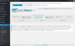 Page screenshot: Asset CleanUp &rarr; Plugins Manager