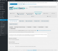 Page screenshot: Asset CleanUp &rarr; Bulk Changes