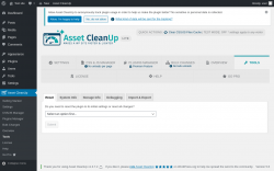 Page screenshot: Asset CleanUp &rarr; Tools