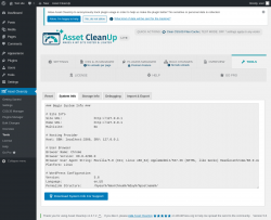 Page screenshot: Asset CleanUp &rarr; Tools &rarr; System Info