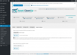 Page screenshot: Asset CleanUp &rarr; Tools &rarr; Import & Export