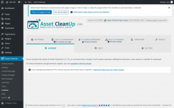 Page screenshot: Asset CleanUp &rarr; License