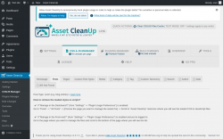 Page screenshot: Asset CleanUp &rarr; CSS/JS Manager &rarr; Posts