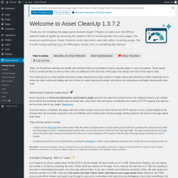 Page screenshot: Asset CleanUp &lsaquo; Test site &mdash; WordPress