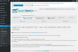 Page screenshot: Asset CleanUp &rarr; CSS/JS Manager &rarr;  Category