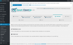 Page screenshot: Asset CleanUp &rarr; Overview