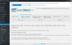 Page screenshot: Asset CleanUp &rarr; CSS/JS Manager &rarr; Custom Post Types