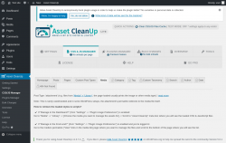 Page screenshot: Asset CleanUp &rarr; CSS/JS Manager &rarr; Media