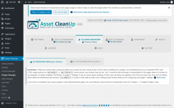 Page screenshot: Asset CleanUp &rarr; Plugins Manager