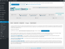 Page screenshot: Asset CleanUp &rarr; Tools &rarr; Debugging