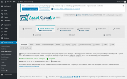 Page screenshot: Asset CleanUp &rarr; CSS/JS Manager