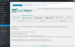 Page screenshot: Asset CleanUp &rarr; CSS/JS Manager &rarr; Pages