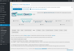 Page screenshot: Asset CleanUp &rarr; CSS/JS Manager &rarr; Media