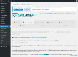 Page screenshot: Asset CleanUp &rarr; CSS/JS Manager &rarr;  Custom Taxonomy
