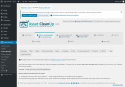 Page screenshot: Asset CleanUp &rarr; CSS/JS Manager &rarr;  Date