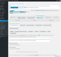 Page screenshot: Asset CleanUp &rarr; Bulk Changes