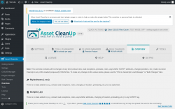 Page screenshot: Asset CleanUp &rarr; Overview
