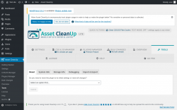 Page screenshot: Asset CleanUp &rarr; Tools