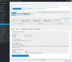 Page screenshot: Asset CleanUp &rarr; Tools &rarr; System Info
