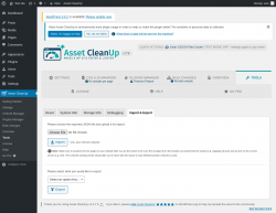 Page screenshot: Asset CleanUp &rarr; Tools &rarr; Import & Export