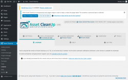 Page screenshot: Asset CleanUp &rarr; License