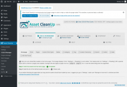 Page screenshot: Asset CleanUp &rarr; CSS/JS Manager