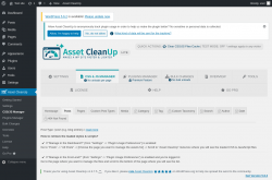 Page screenshot: Asset CleanUp &rarr; CSS/JS Manager &rarr; Posts