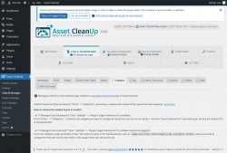 Page screenshot: Asset CleanUp &rarr; CSS/JS Manager &rarr;  Category