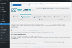 Page screenshot: Asset CleanUp &rarr; CSS/JS Manager &rarr;  Custom Taxonomy