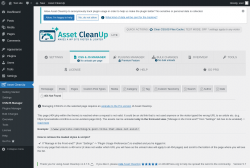Page screenshot: Asset CleanUp &rarr; CSS/JS Manager &rarr;  404 Not Found