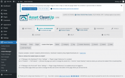 Page screenshot: Asset CleanUp &rarr; CSS/JS Manager &rarr; Custom Post Types